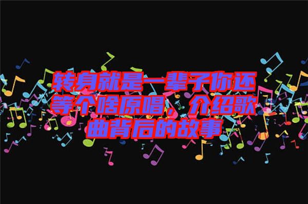 轉(zhuǎn)身就是一輩子你還等個(gè)啥原唱，介紹歌曲背后的故事