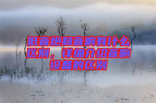 低音炮和音響有什么區(qū)別，詳細(xì)介紹音響設(shè)備的區(qū)別
