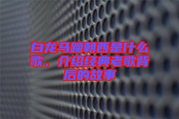 白龍馬蹄朝西是什么歌，介紹經(jīng)典老歌背后的故事