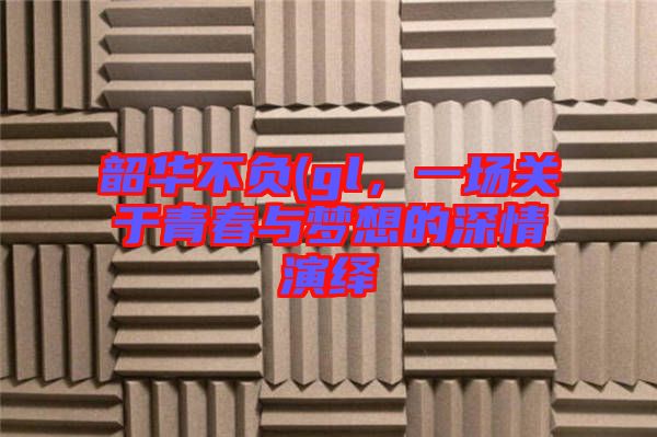 韶華不負(fù)(gl，一場(chǎng)關(guān)于青春與夢(mèng)想的深情演繹