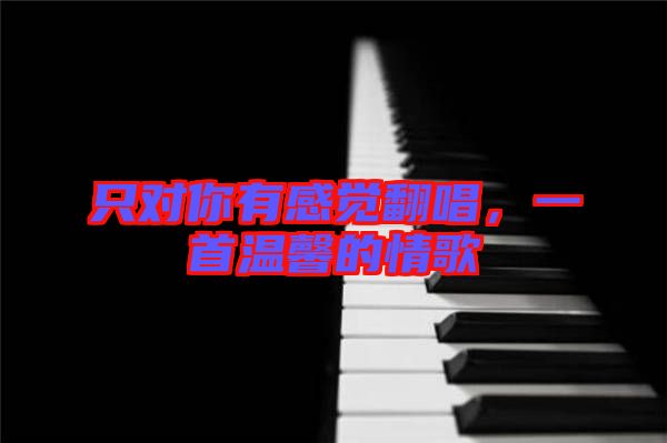 只對你有感覺翻唱，一首溫馨的情歌