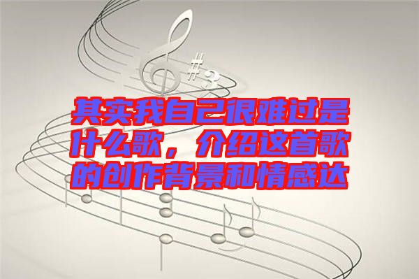 其實我自己很難過是什么歌，介紹這首歌的創(chuàng)作背景和情感達