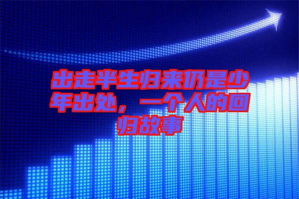 出走半生歸來(lái)仍是少年出處，一個(gè)人的回歸故事
