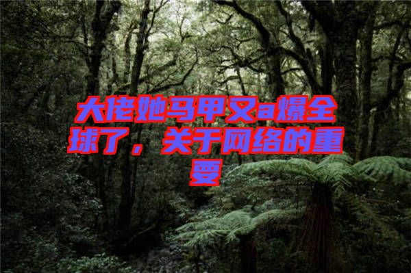 大佬她馬甲又a爆全球了，關(guān)于網(wǎng)絡(luò)的重要