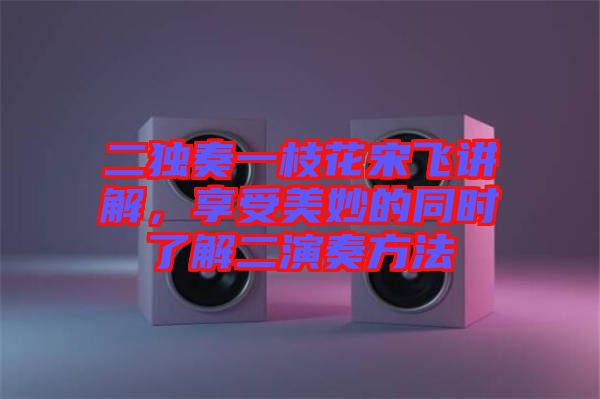 二獨(dú)奏一枝花宋飛講解，享受美妙的同時(shí)了解二演奏方法