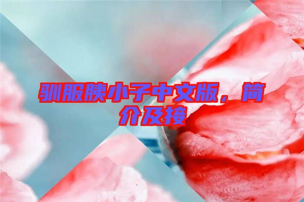 馴服胰小子中文版，簡介及接