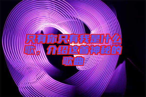 只有你只有我是什么歌，介紹這首神秘的歌曲