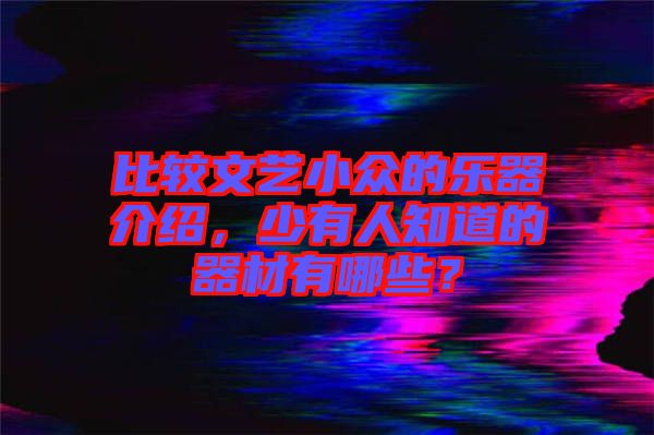 比較文藝小眾的樂器介紹，少有人知道的器材有哪些？