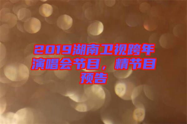 2019湖南衛(wèi)視跨年演唱會(huì)節(jié)目，精節(jié)目預(yù)告