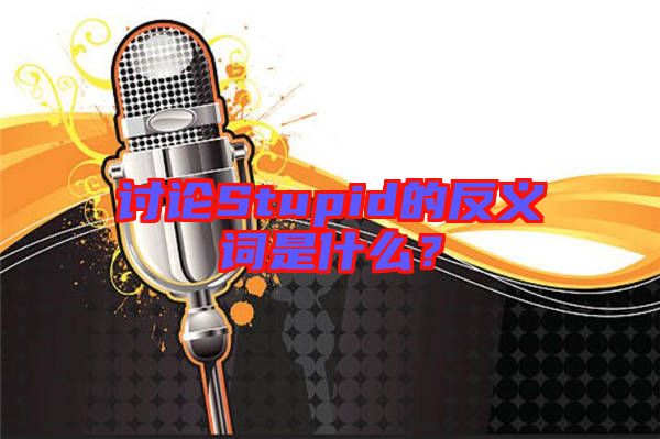 討論Stupid的反義詞是什么？