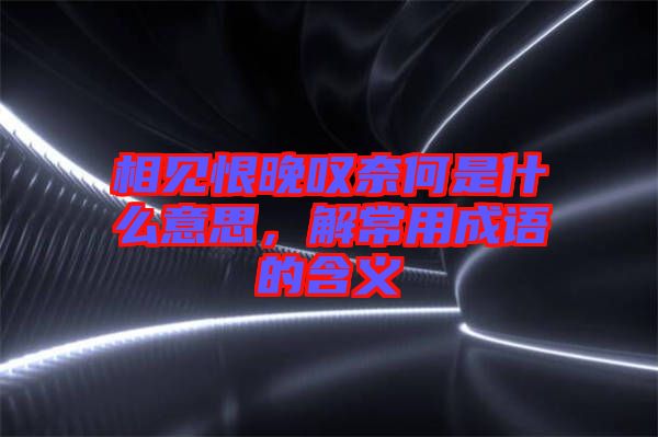 相見恨晚嘆奈何是什么意思，解常用成語的含義