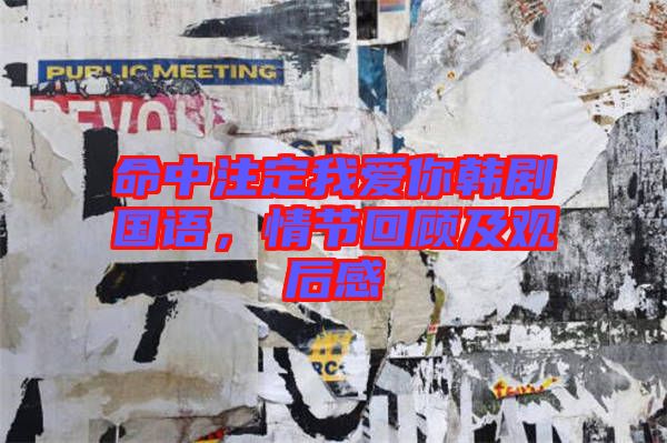 命中注定我愛你韓劇國語，情節(jié)回顧及觀后感