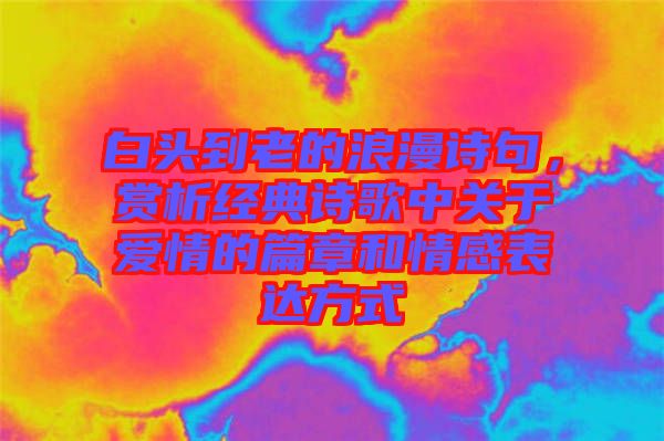 白頭到老的浪漫詩句，賞析經(jīng)典詩歌中關(guān)于愛情的篇章和情感表達(dá)方式