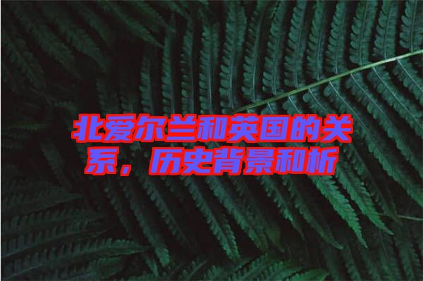 北愛(ài)爾蘭和英國(guó)的關(guān)系，歷史背景和析
