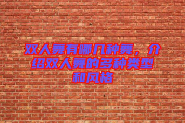 雙人舞有哪幾種舞，介紹雙人舞的多種類型和風格