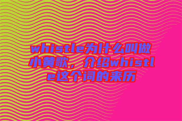 whistle為什么叫做小黃歌，介紹whistle這個詞的來歷