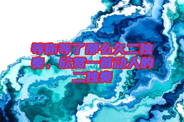 等你等了那么久二獨(dú)奏，欣賞一首動(dòng)人的二獨(dú)奏