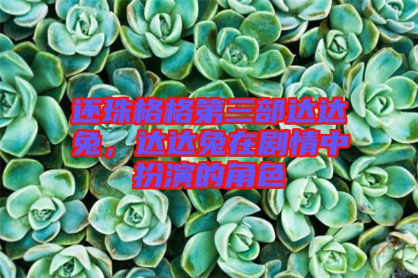 還珠格格第三部達達兔，達達兔在劇情中扮演的角色