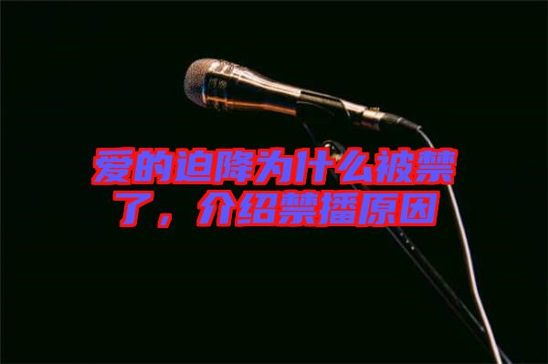 愛的迫降為什么被禁了，介紹禁播原因