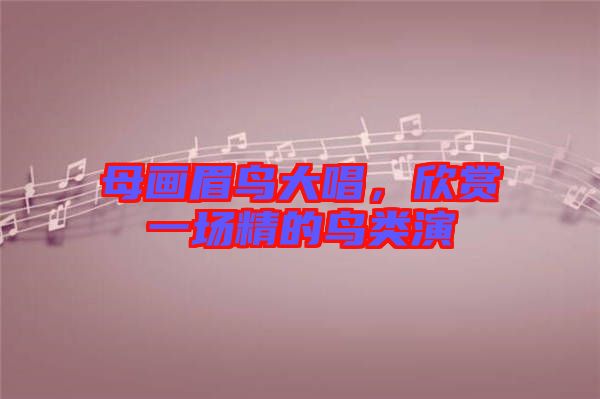 母畫眉鳥大唱，欣賞一場(chǎng)精的鳥類演