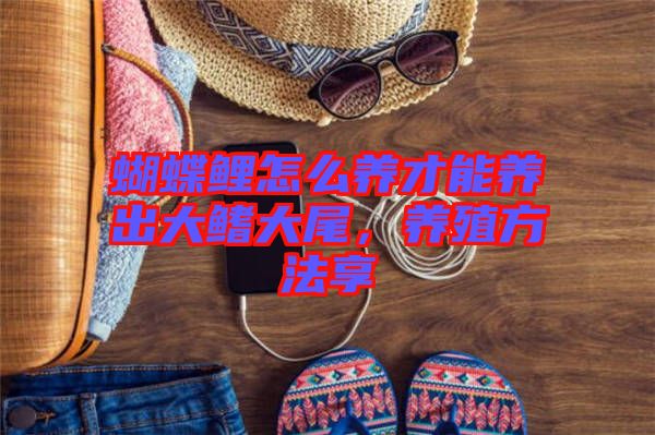 蝴蝶鯉怎么養(yǎng)才能養(yǎng)出大鰭大尾，養(yǎng)殖方法享