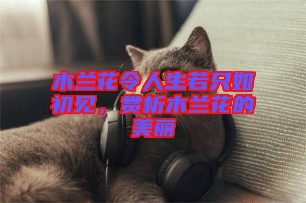木蘭花令人生若只如初見，賞析木蘭花的美麗