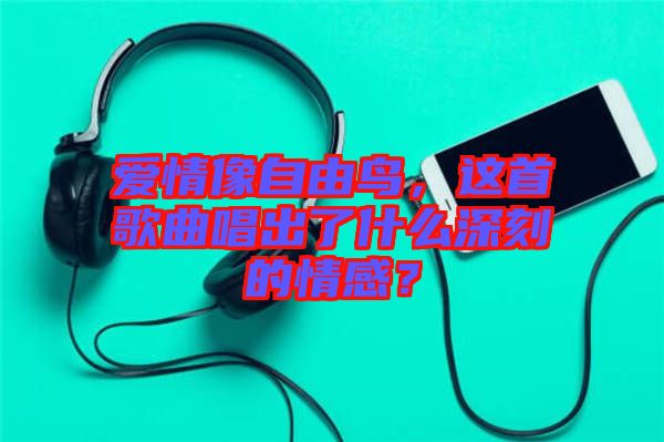 愛情像自由鳥，這首歌曲唱出了什么深刻的情感？