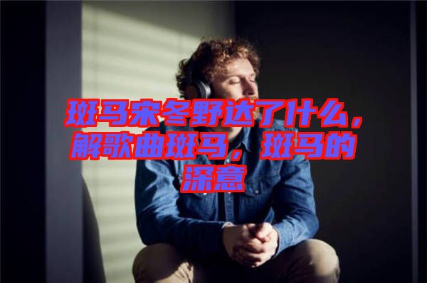 斑馬宋冬野達了什么，解歌曲斑馬，斑馬的深意