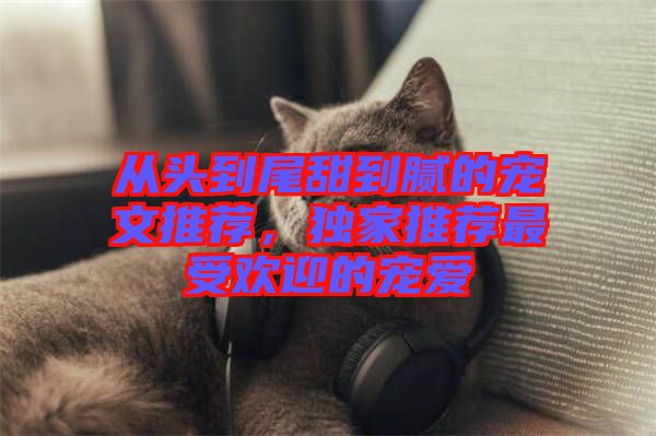 從頭到尾甜到膩的寵文推薦，獨(dú)家推薦最受歡迎的寵愛