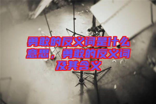 勇敢的反義詞是什么意思，勇敢的反義詞及其含義