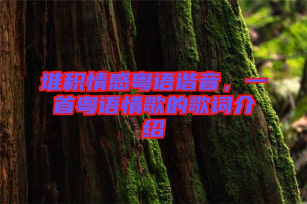 堆積情感粵語諧音，一首粵語情歌的歌詞介紹
