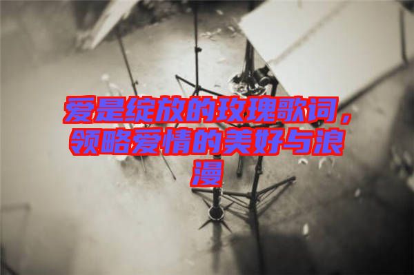 愛是綻放的玫瑰歌詞，領(lǐng)略愛情的美好與浪漫