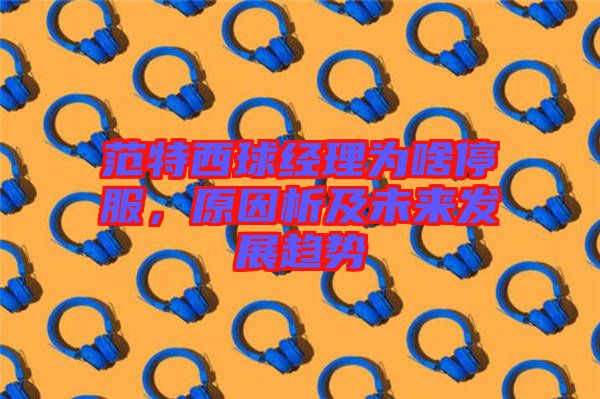范特西球經(jīng)理為啥停服，原因析及未來發(fā)展趨勢(shì)