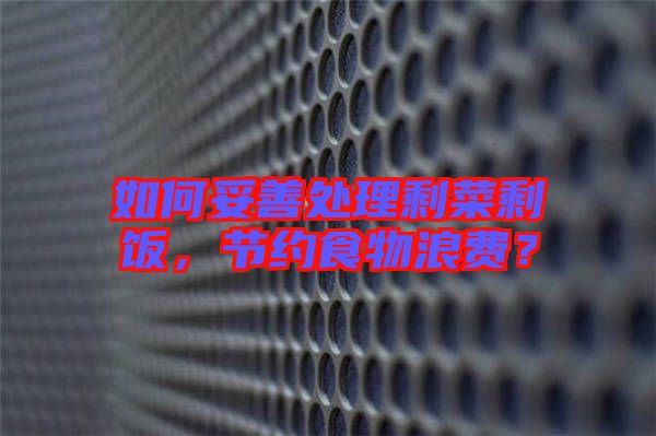 如何妥善處理剩菜剩飯，節(jié)約食物浪費？