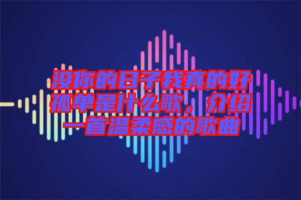 沒你的日子我真的好孤單是什么歌，介紹一首溫柔感的歌曲