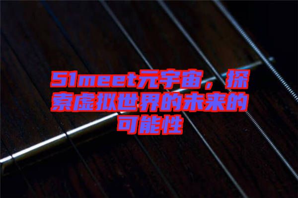 51meet元宇宙，探索虛擬世界的未來的可能性