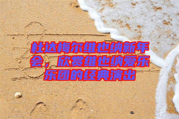 杜達(dá)梅爾維也納新年會(huì)，欣賞維也納愛(ài)樂(lè)樂(lè)團(tuán)的經(jīng)典演出