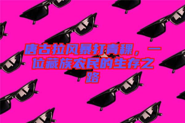 唐古拉風(fēng)暴打青稞，一位藏族農(nóng)民的生存之路