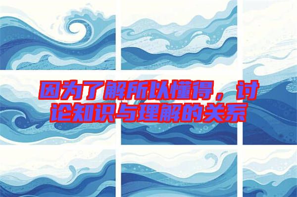 因為了解所以懂得，討論知識與理解的關系