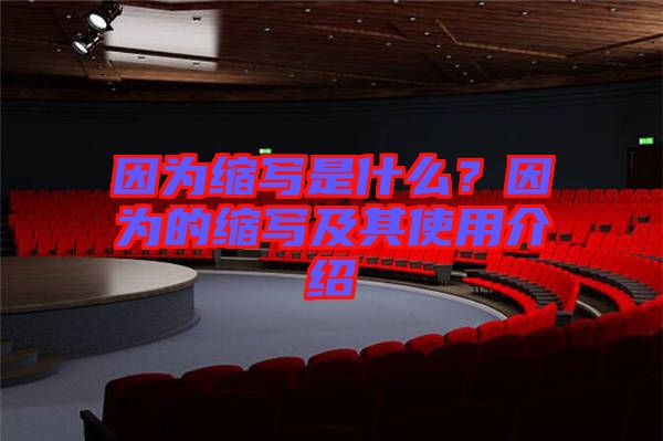 因?yàn)榭s寫是什么？因?yàn)榈目s寫及其使用介紹
