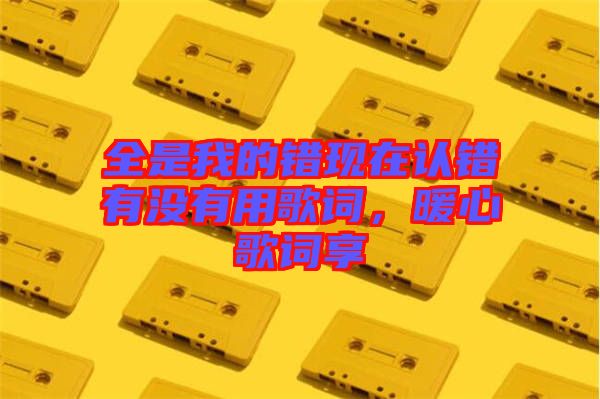 全是我的錯(cuò)現(xiàn)在認(rèn)錯(cuò)有沒(méi)有用歌詞，暖心歌詞享