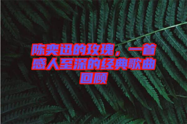 陳奕迅的玫瑰，一首感人至深的經(jīng)典歌曲回顧
