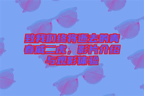 致我們終將逝去的青春戚二虎，影片介紹與觀影體驗(yàn)