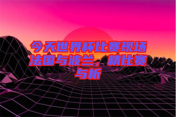 今天世界杯比賽現(xiàn)場法國與波蘭，精比賽與析