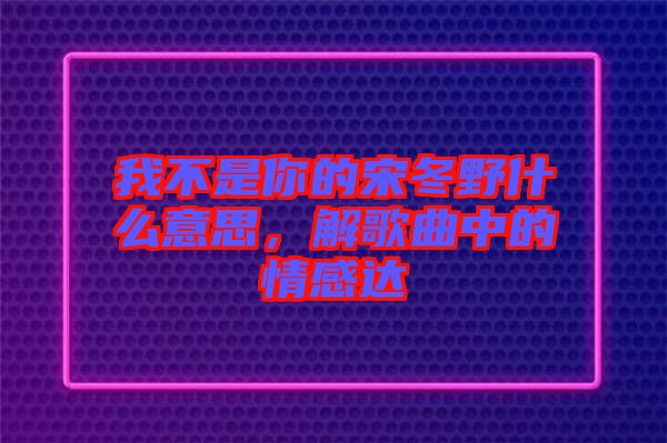 我不是你的宋冬野什么意思，解歌曲中的情感達