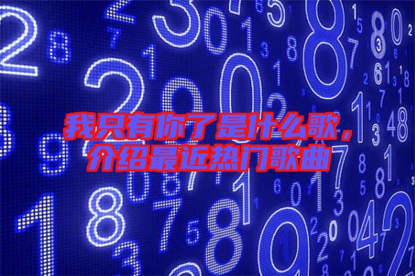 我只有你了是什么歌，介紹最近熱門(mén)歌曲