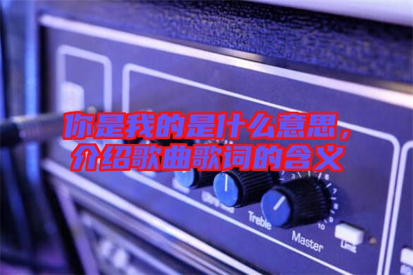 你是我的是什么意思，介紹歌曲歌詞的含義