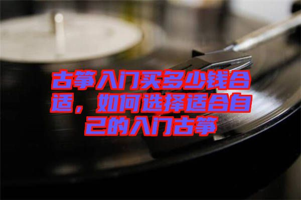 古箏入門買多少錢合適，如何選擇適合自己的入門古箏