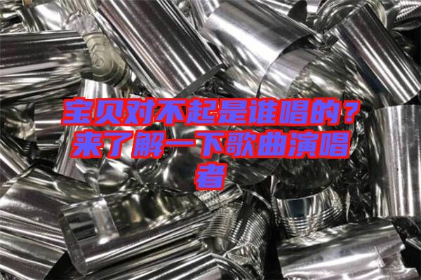 寶貝對不起是誰唱的？來了解一下歌曲演唱者