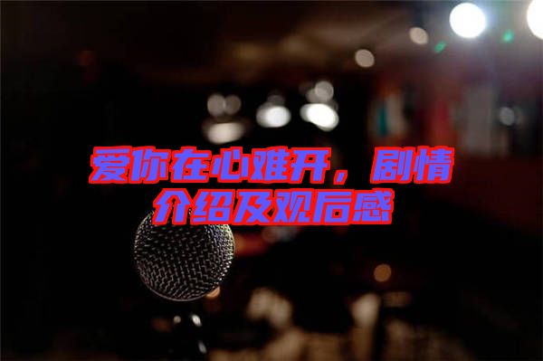 愛你在心難開，劇情介紹及觀后感